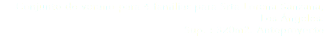 Conjunto de verano para 4 familias para Srta Lorena Sanzana, Los Ángeles.
Sup. : 320m2. Anteproyecto
